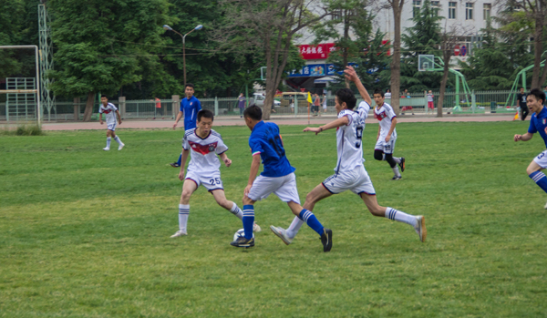 青少年的成 青少年的成